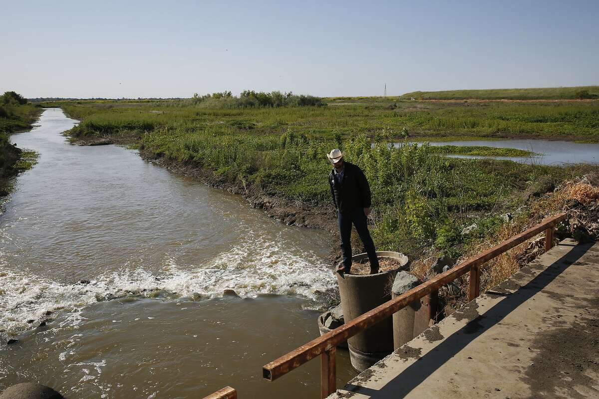 Jacob Katz, Central California Regional Director of California Trout, checks out a canal for trapped salmon, a common occurrence in the area, in the Yolo Bypass flood area near the Fremont Weir April 14, 2015 outside of Woodland, Calif. The Yolo Bypass is one of two flood bypasses created to protect Sacramento from flooding during rainy seasons.