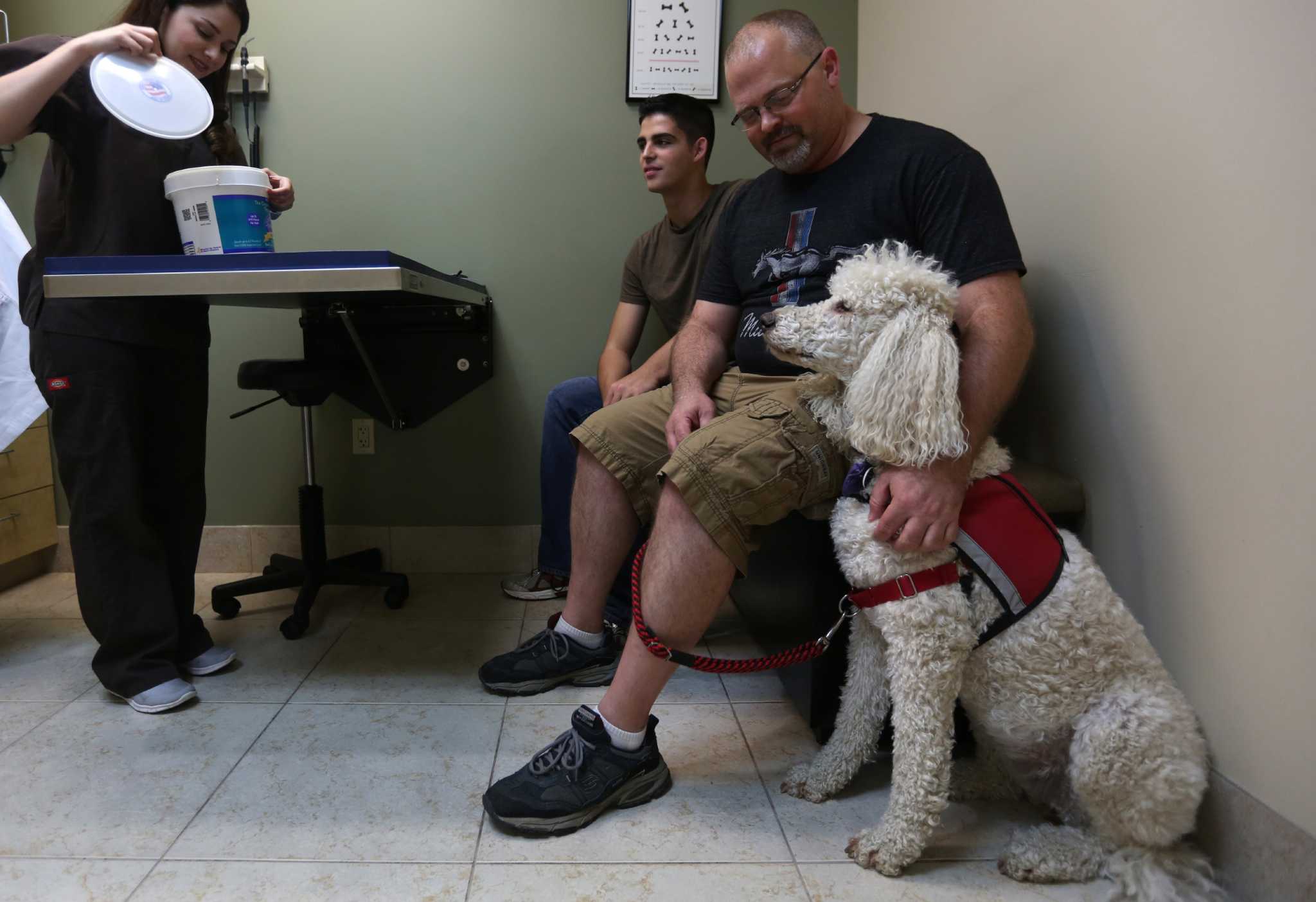 Veterinary eye clinic returns caretaking favor to service dogs