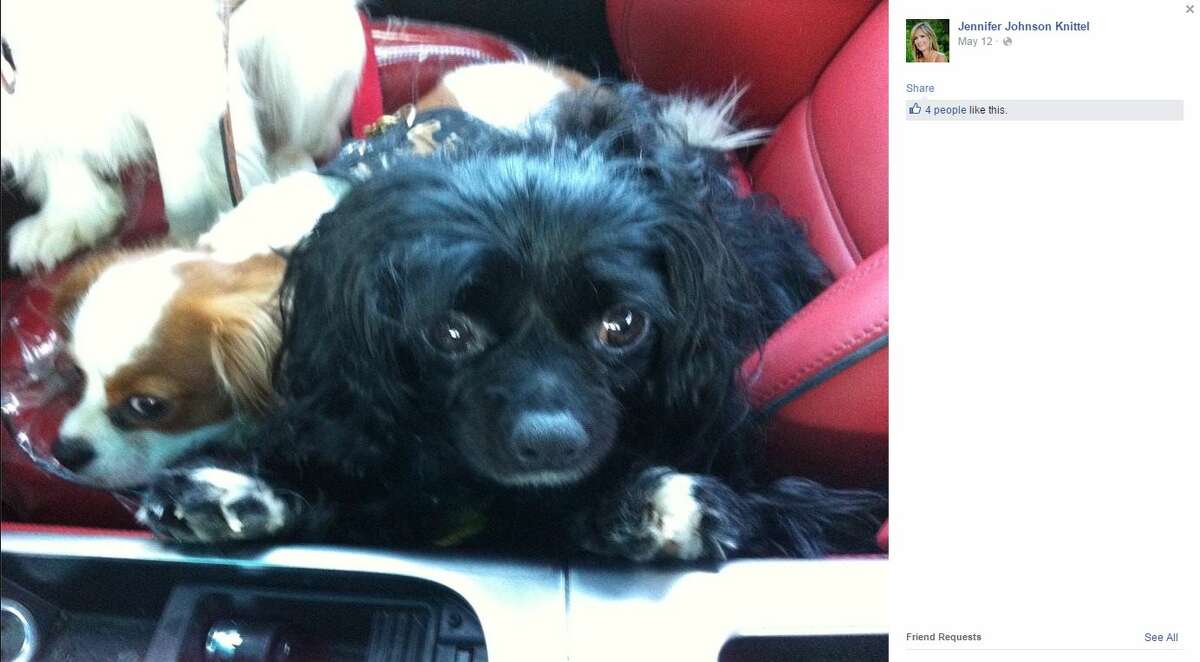 Photos from Facebook show Cookie, a dog allegedly beaten to death by a 10-year-old boy in Fort Worth on May 11, 2015. The boy is expected to be charged with delinquent conduct/animal cruelty-torture, a state jail felony punishable up to two years in prison.
