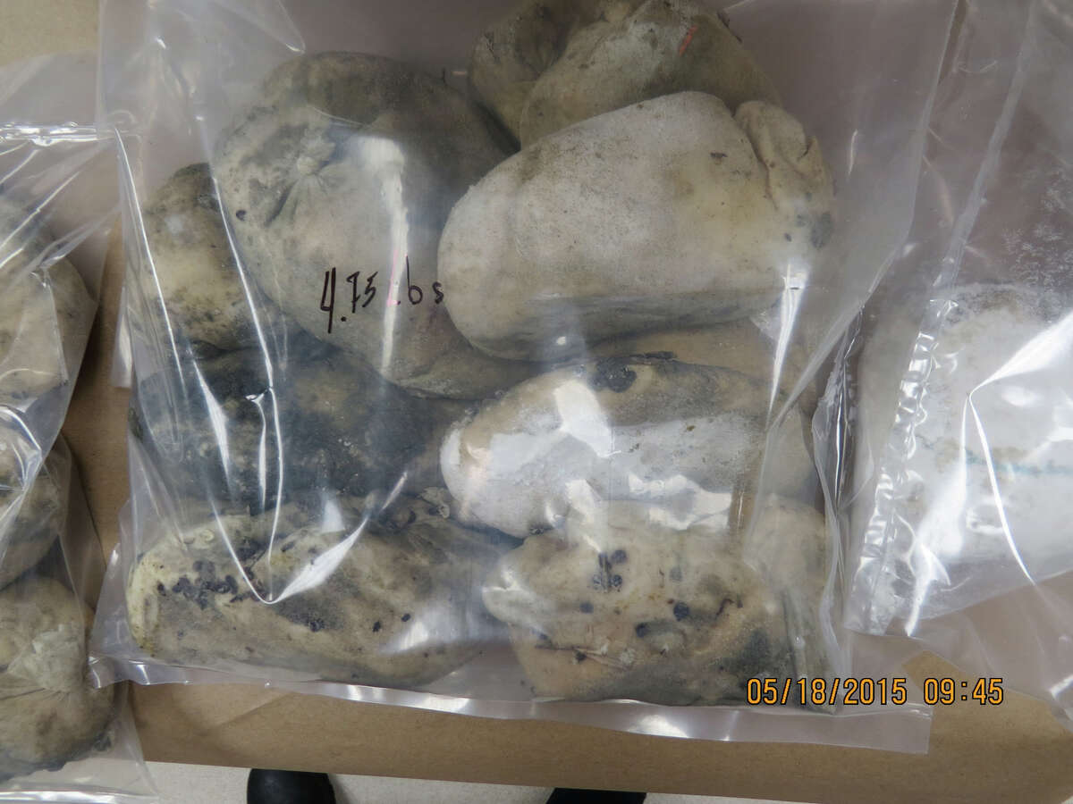 PHOTOS: Weird things found on Texas beaches Police in Galveston recently found 30 bags of cocaine worth $175,000 washed ashore near Galveston Island State Park. Drugs aren't uncommon on Texas beaches: in 2010 another $2.1 million in cocaine was found by a jogger on Galveston's East beach, and in 2011 another $675,000 in cocaine was found (not to mention the giant brick of marijuana found in 2008). See what other weird items have washed ashore on Texas beaches ...