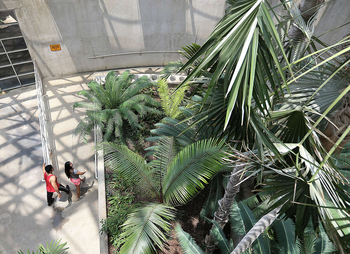 Guets walk inside the Palm and Cycad Pavilion that is part of the Lucile Halsell Conservatory at the San Antonio Botanical Gardens, Monday, May 18, 2015. The 35-year-old San Antonio Botanical Garden is growing. They will break ground this summer on an 8-acre expansion that will include a children's garden, culinary garden with outdoor kitchen and a new entrance.