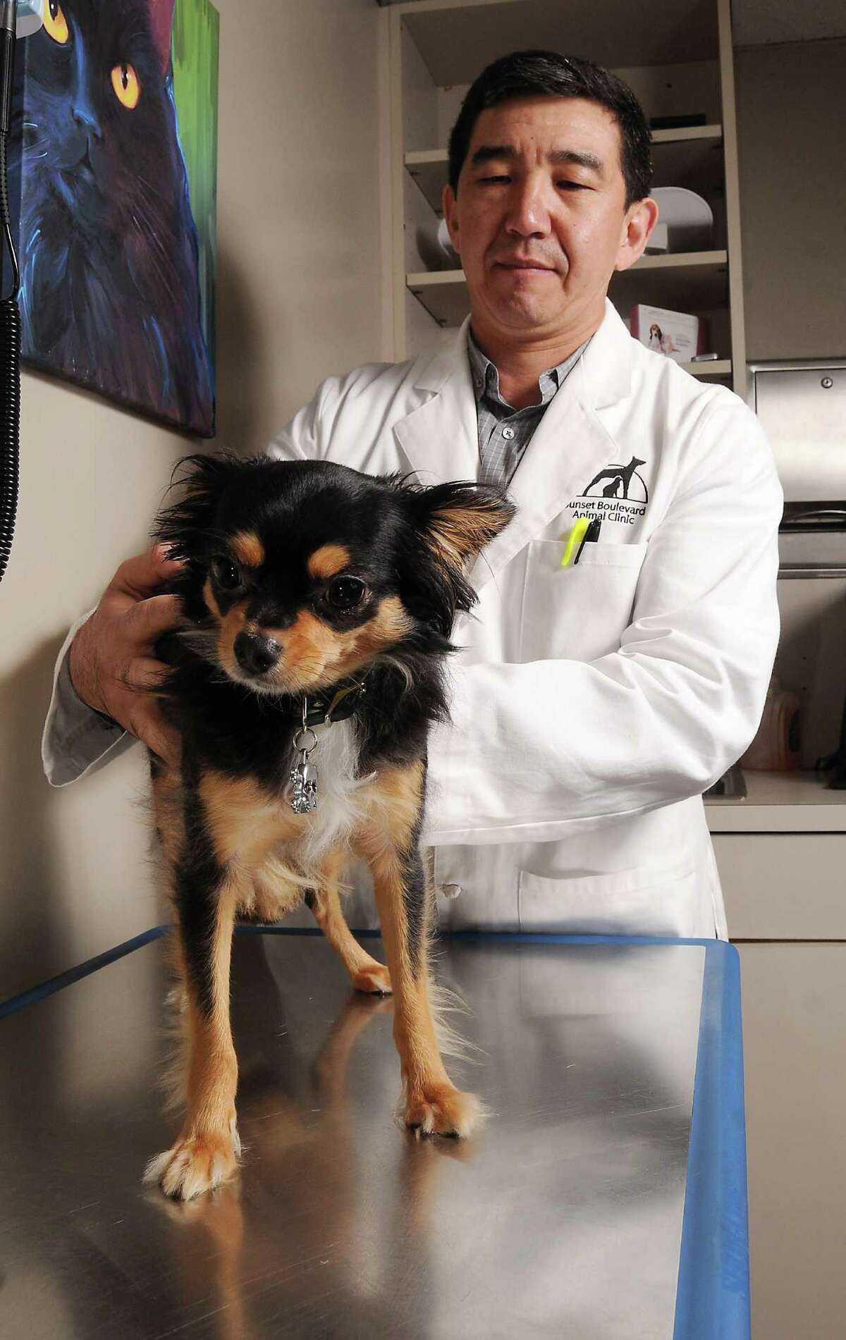 Warm weather brings out nasty animal parasites