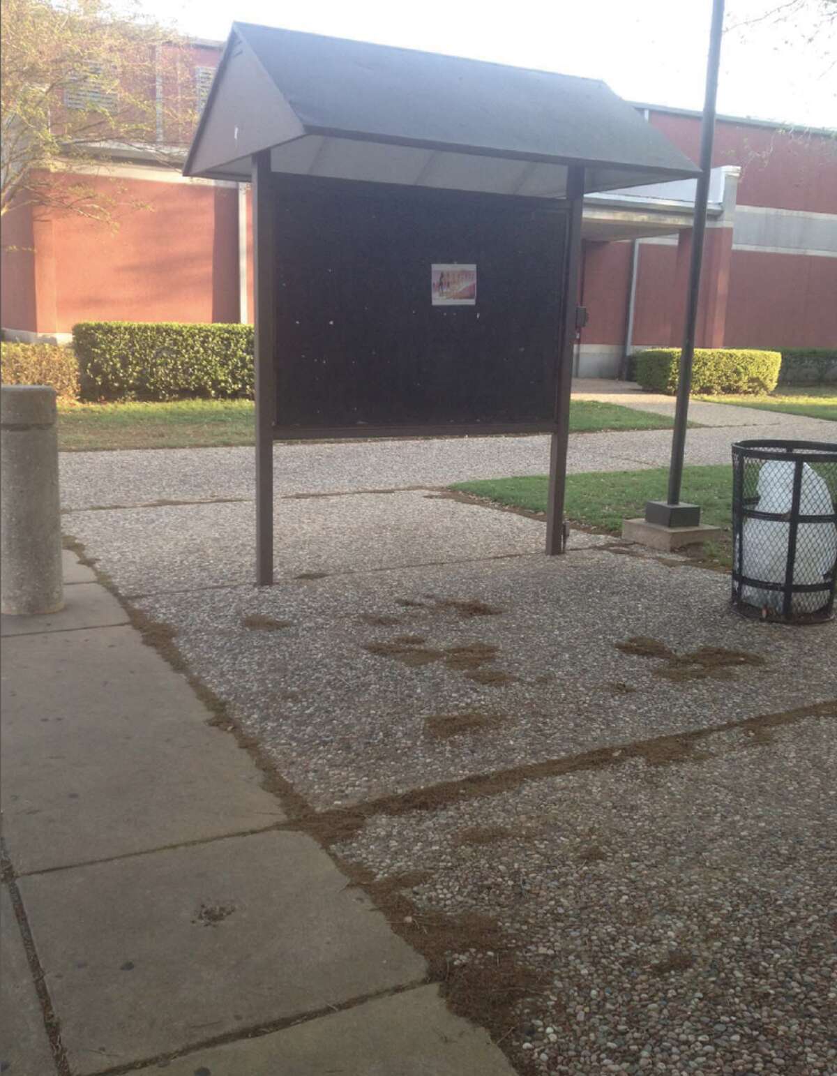 Blinn College's free speech zone is a 190-square-foot concrete corner divided by a bulletin board, a lawsuit filed Wednesday alleges.