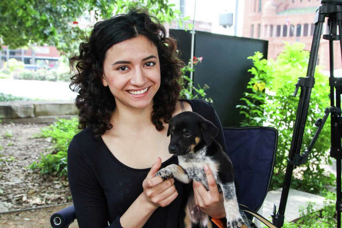 Animal Care Services' Pets on the Plaza interaction program