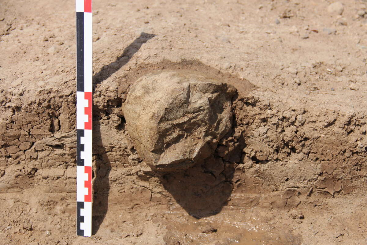 New findings The world's oldest tools