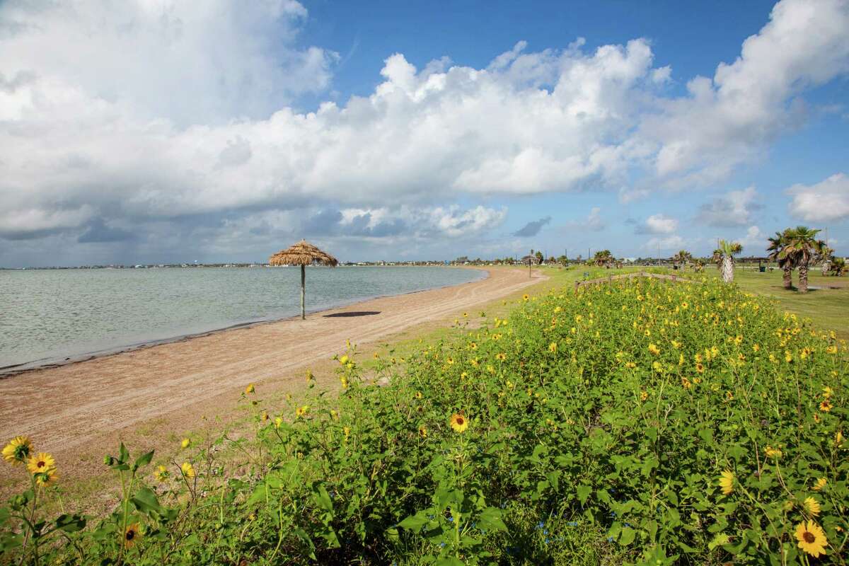 10 best birding spots in Texas