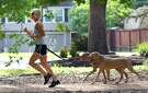 A woman runs with her dogs on the esplanade along Heights Boulevard.