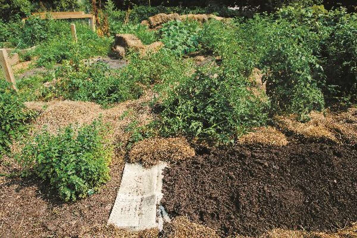 Healthy soil, healthy garden
