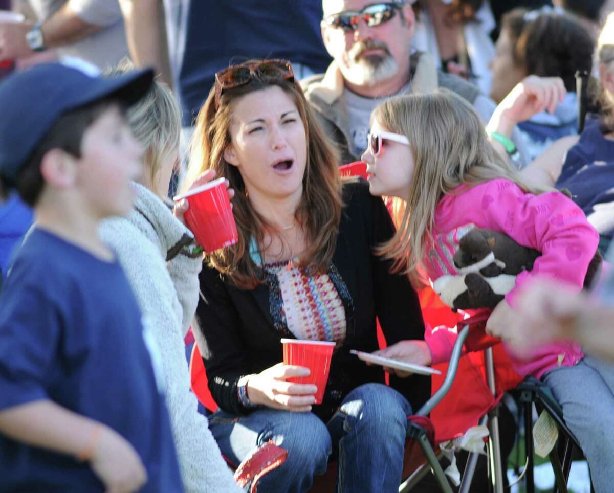 The Greenwich Town Party at Roger Sherman Baldwin Park, Greenwich, Conn., Saturday, May 23, 2015.