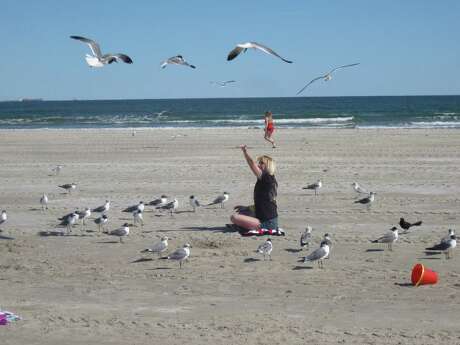 Vibrant bird life and large beaches are two of the main reasons Port Aransas stands out as a vacation destination.