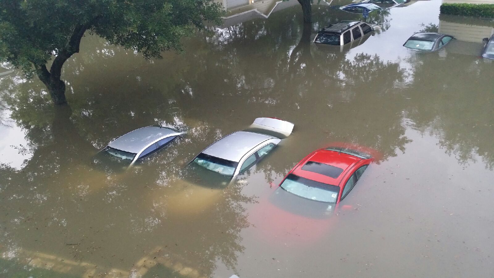 My car is flooded, now what?