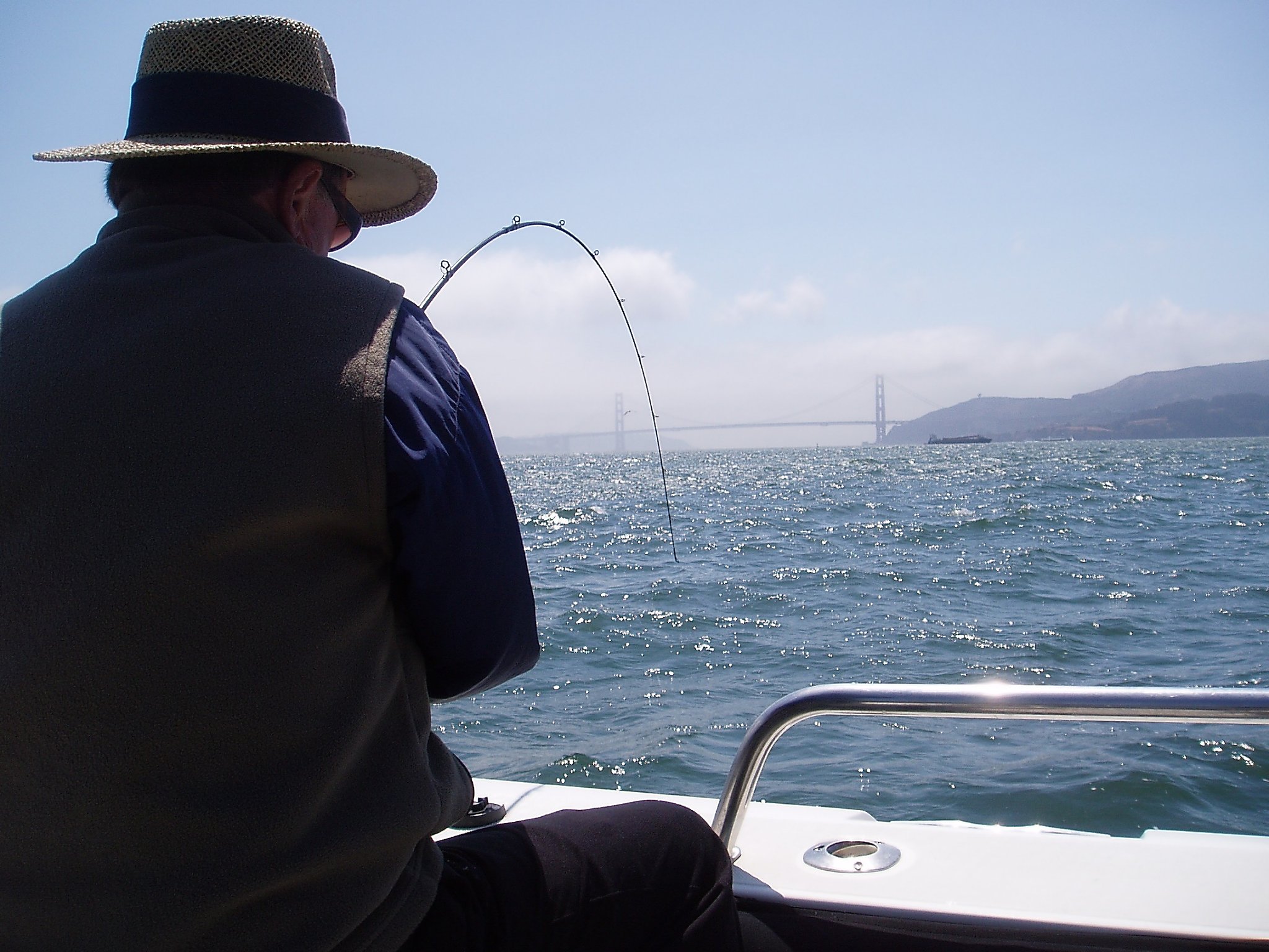 Striped bass fishing in the San Francisco Bay Area. Summer fishing for striped  bass/halibut fishing. 