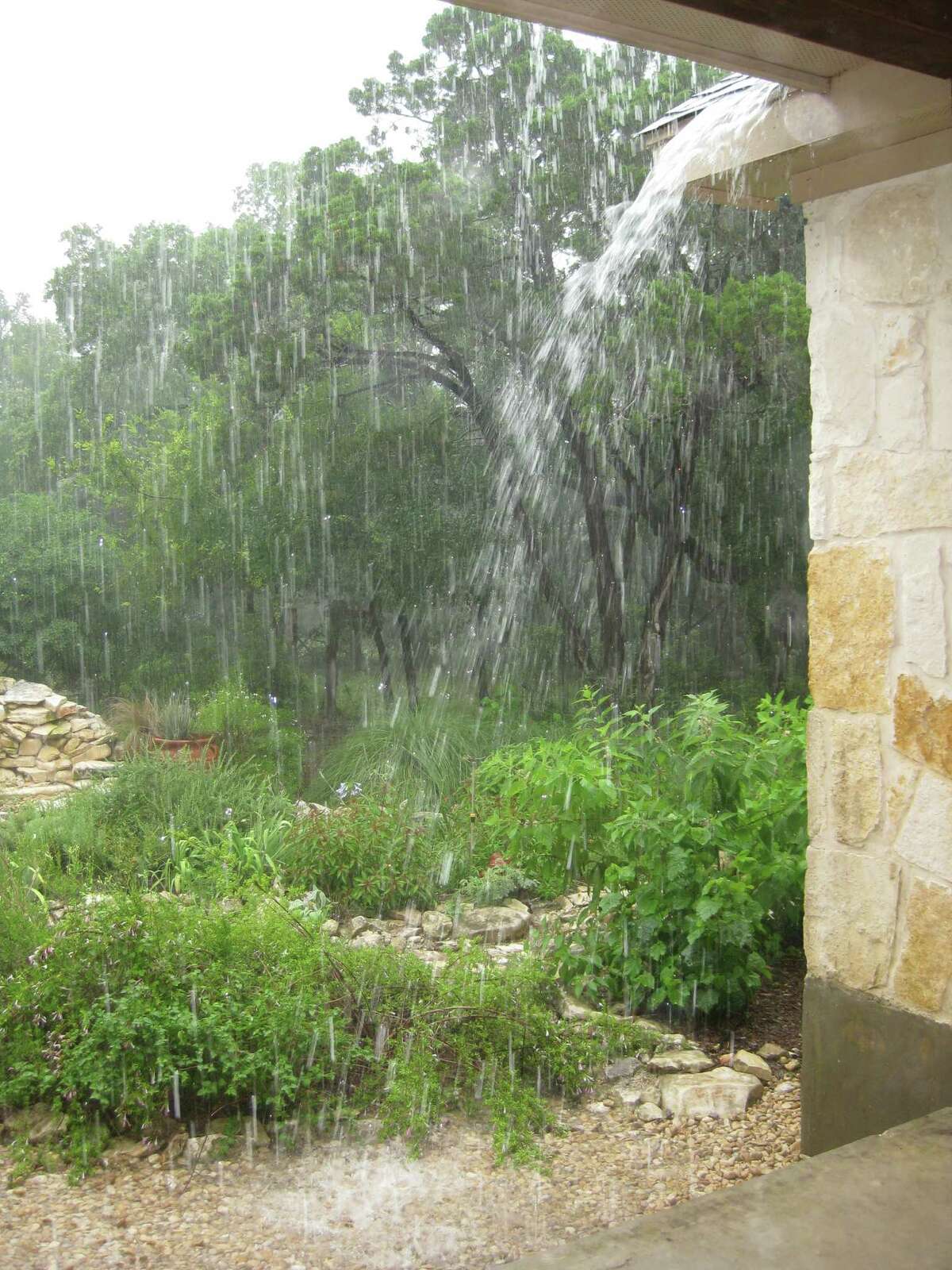Steady rains in 2015, especially in May, have saturated the ground and created unfamiliar issues for gardeners accustomed to drought. Good drainage and careful choice of plants can keep gardens looking good in drought or downpours, both facts of life in the region.