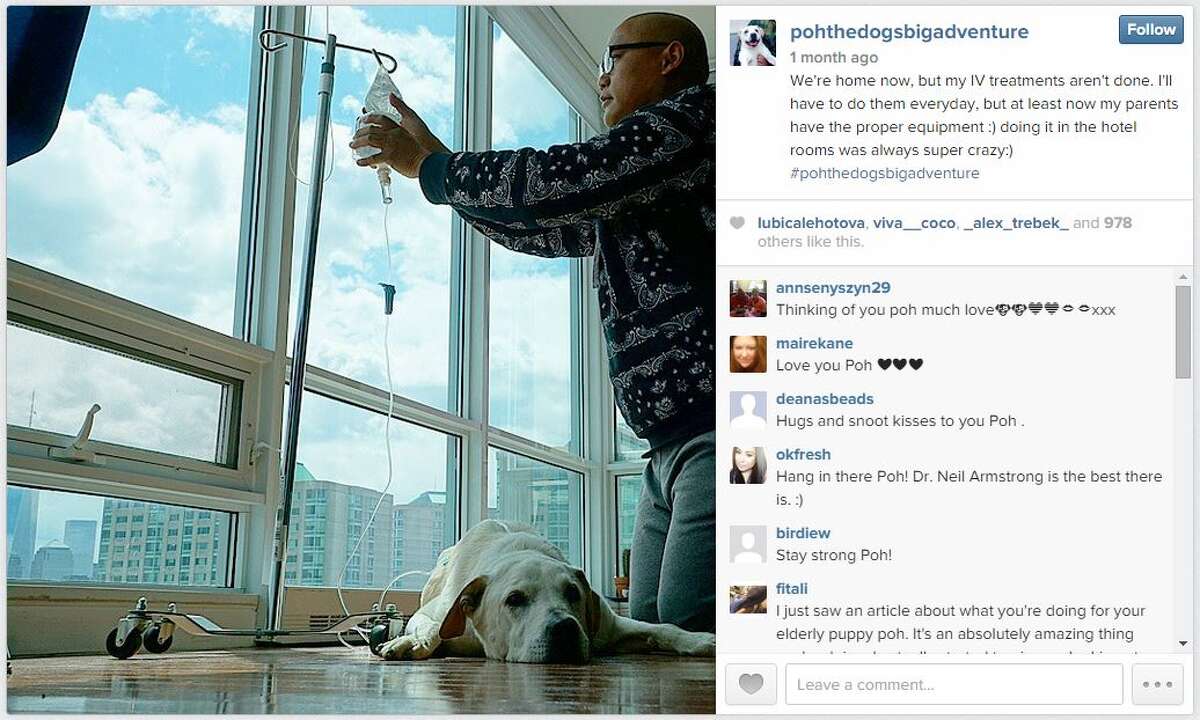 This New Yorker took his terminally ill dog on an awesome bucket list