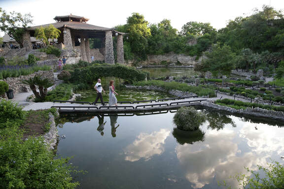 Spectators look over the scenery as the Japanese Tea Garden in Brackenridge Park opens for jazz music entertainment on May1.