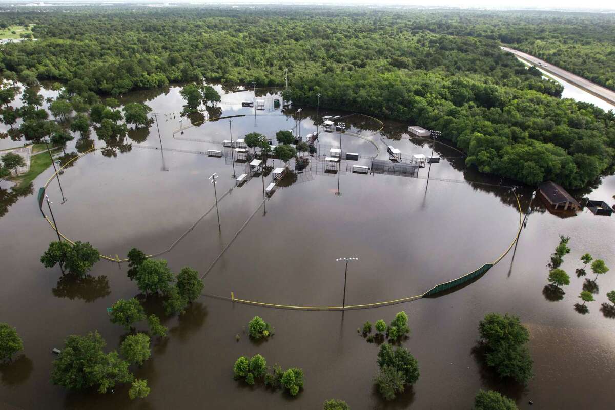 Wrecked wetlands lead to flooding. Here's what you can do.