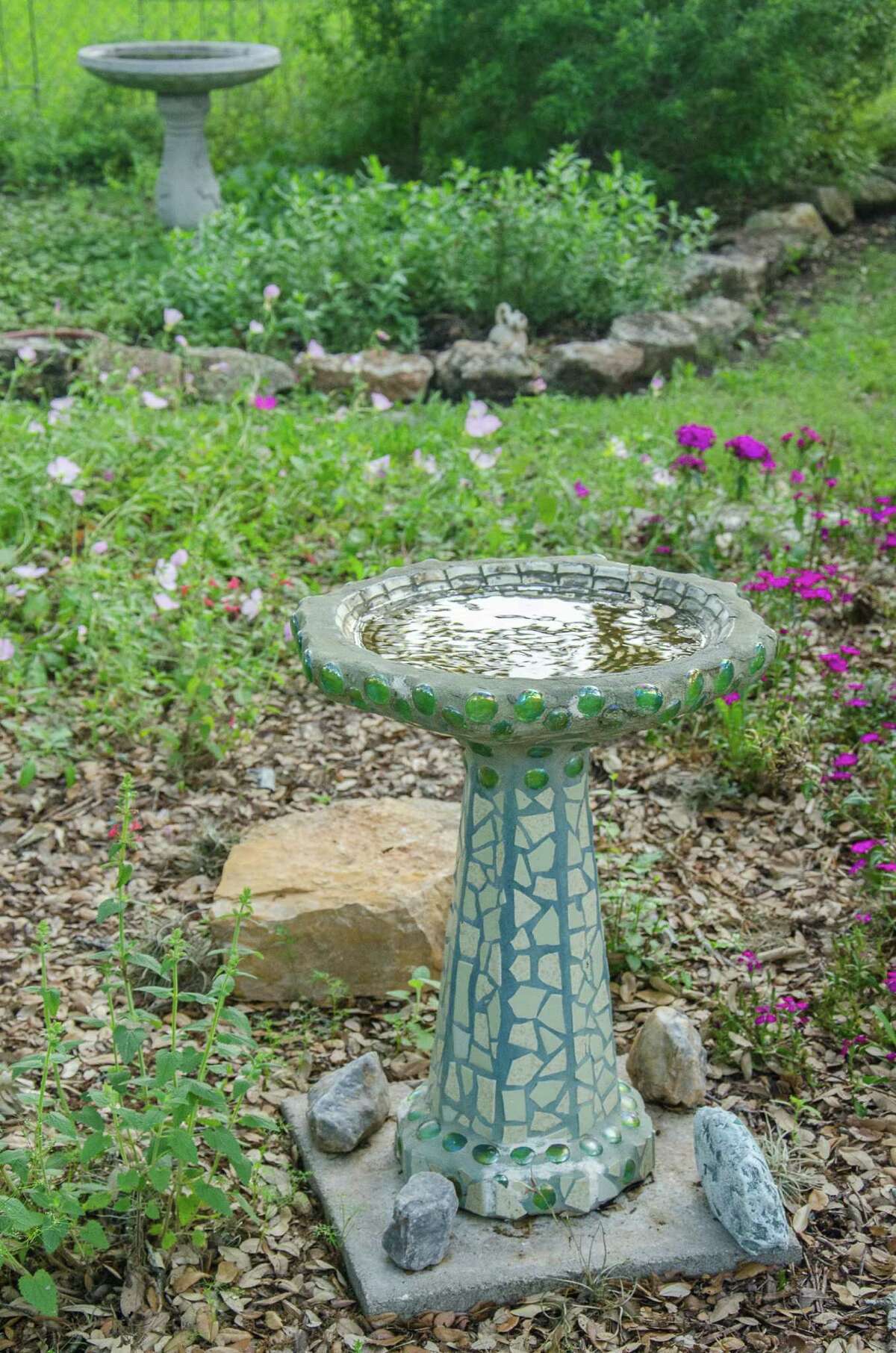 Bird baths make a splash with wildlife