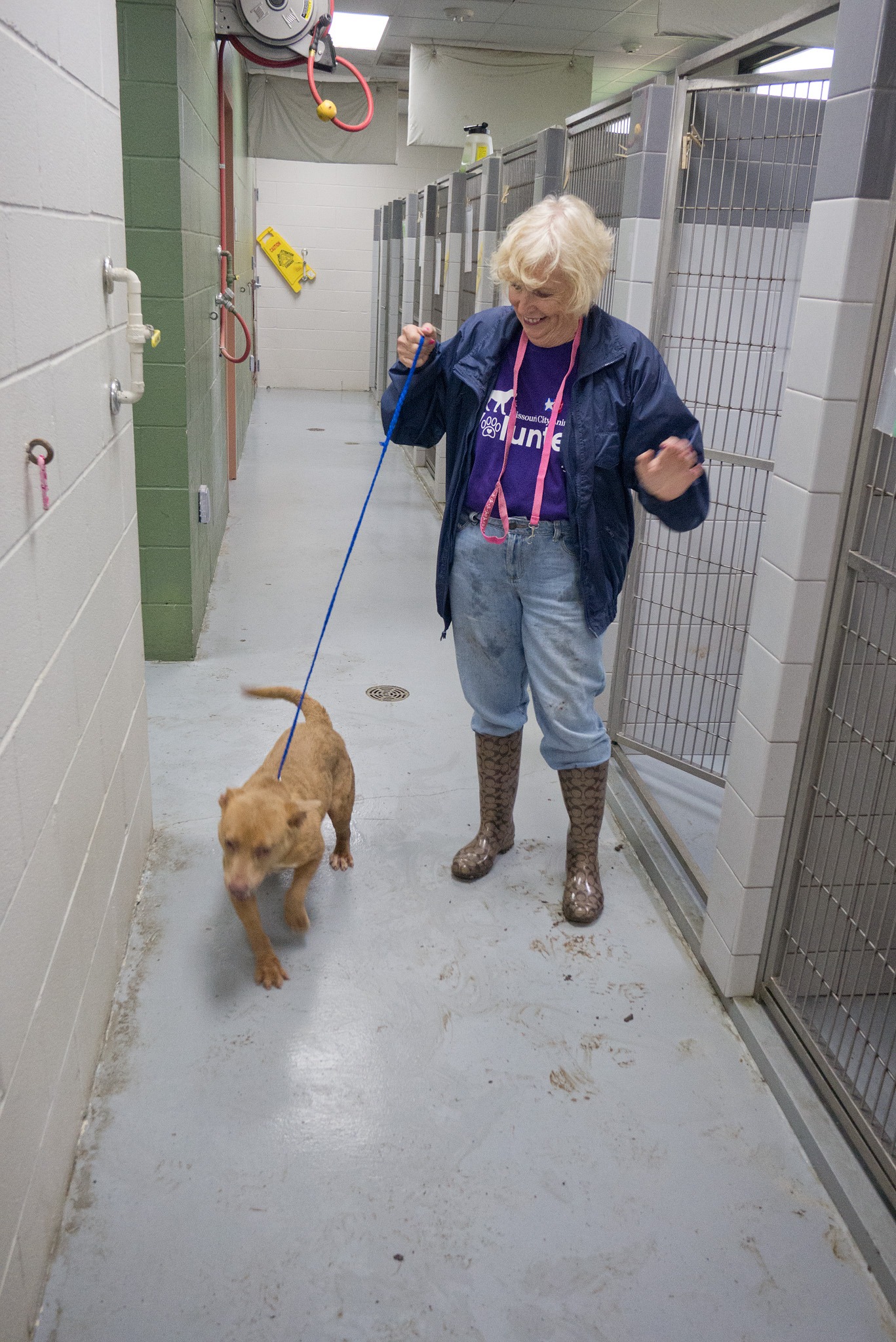 Animal shelter volunteers make a difference in Missouri City Animal shelter volunteers make a difference in Missouri City