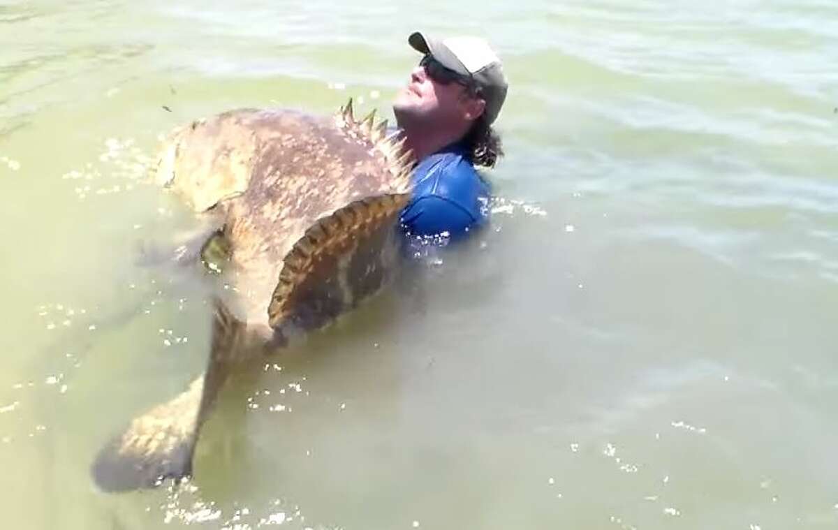 Florida man catches giant 552pound grouper from a kayak