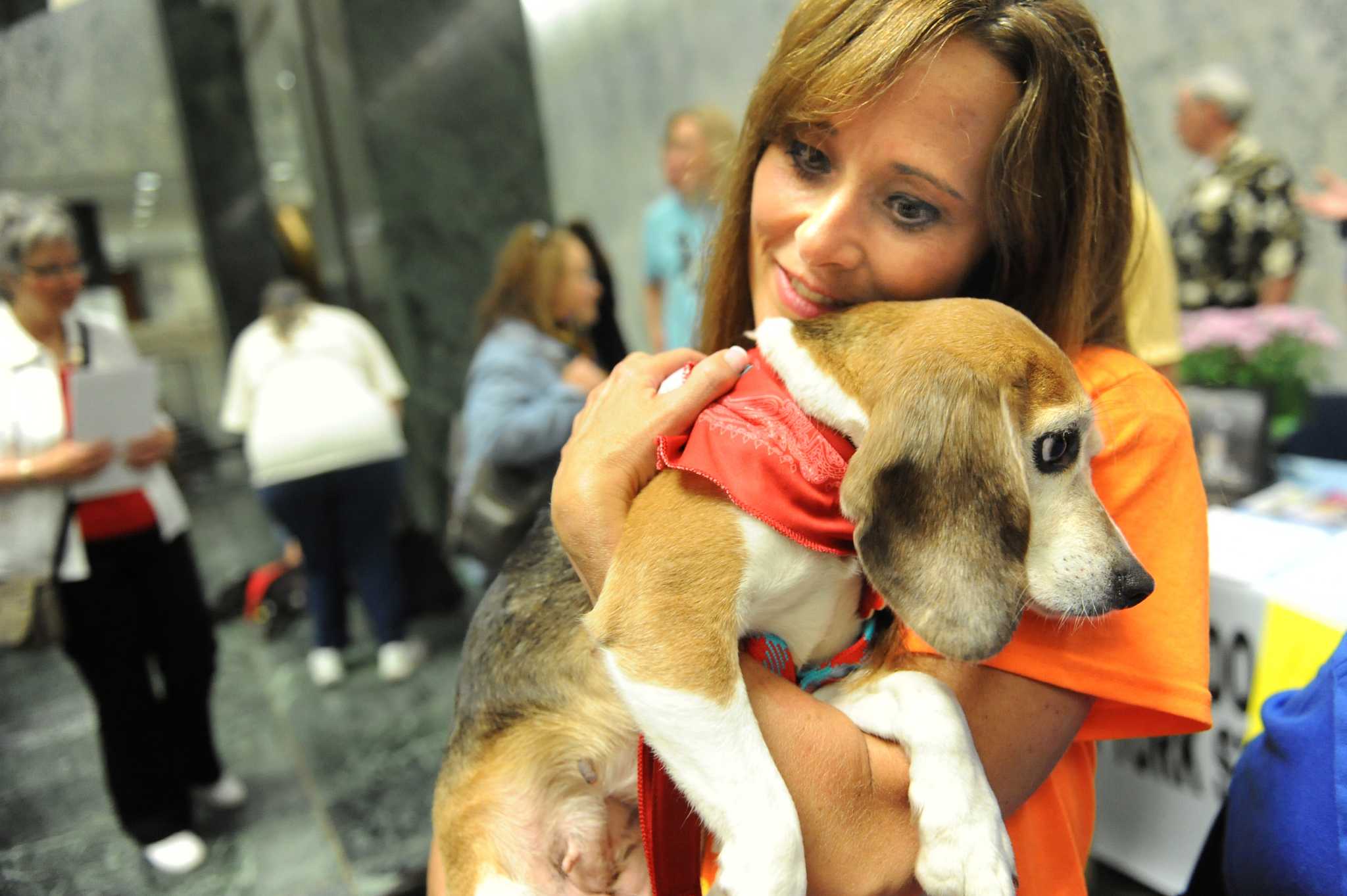 Dogs grab the spotlight on Animal Advocacy Day