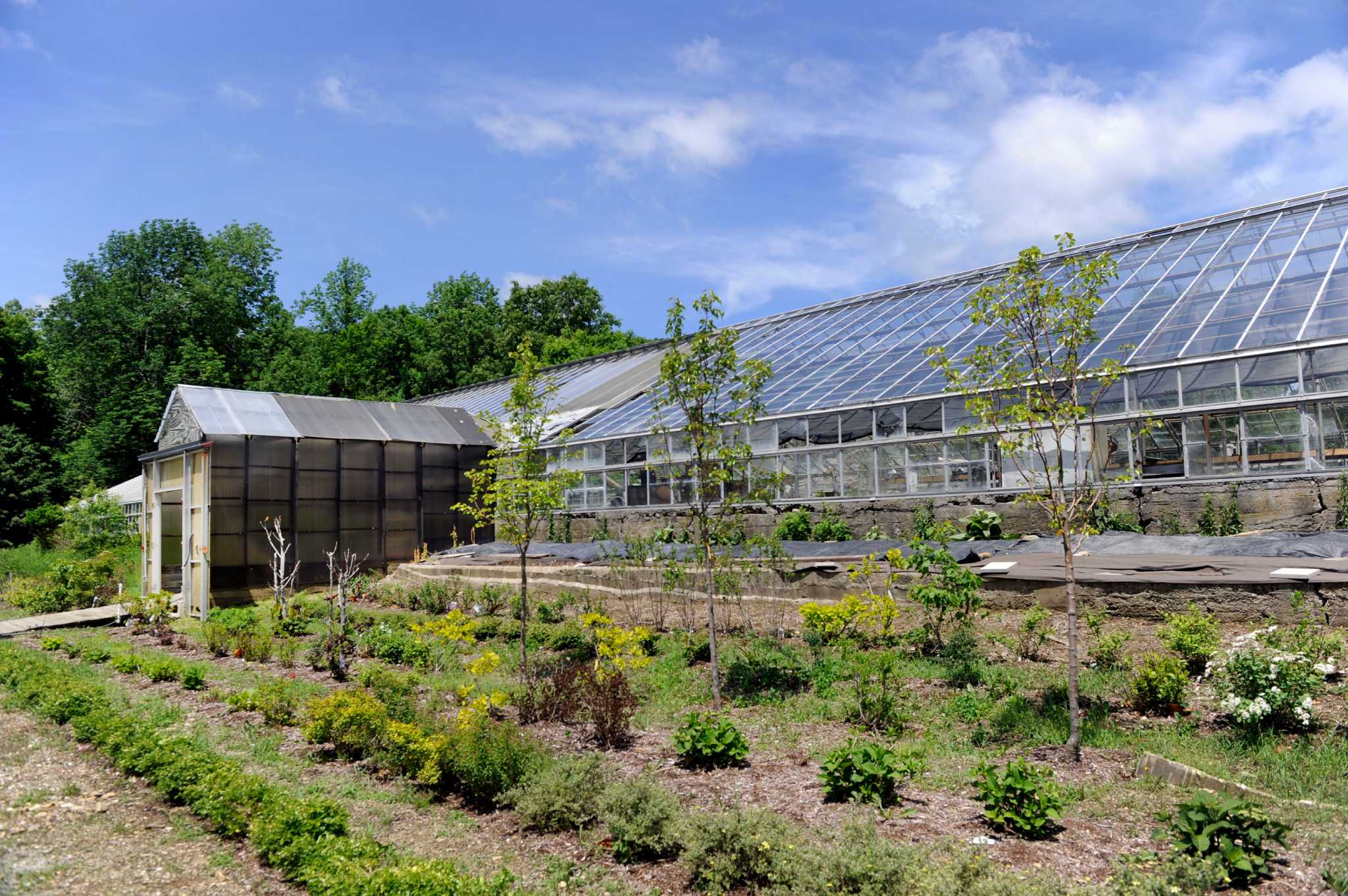 Historic Ridgefield nursery on the market