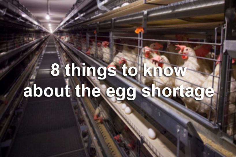 8 things to know about the egg shortage