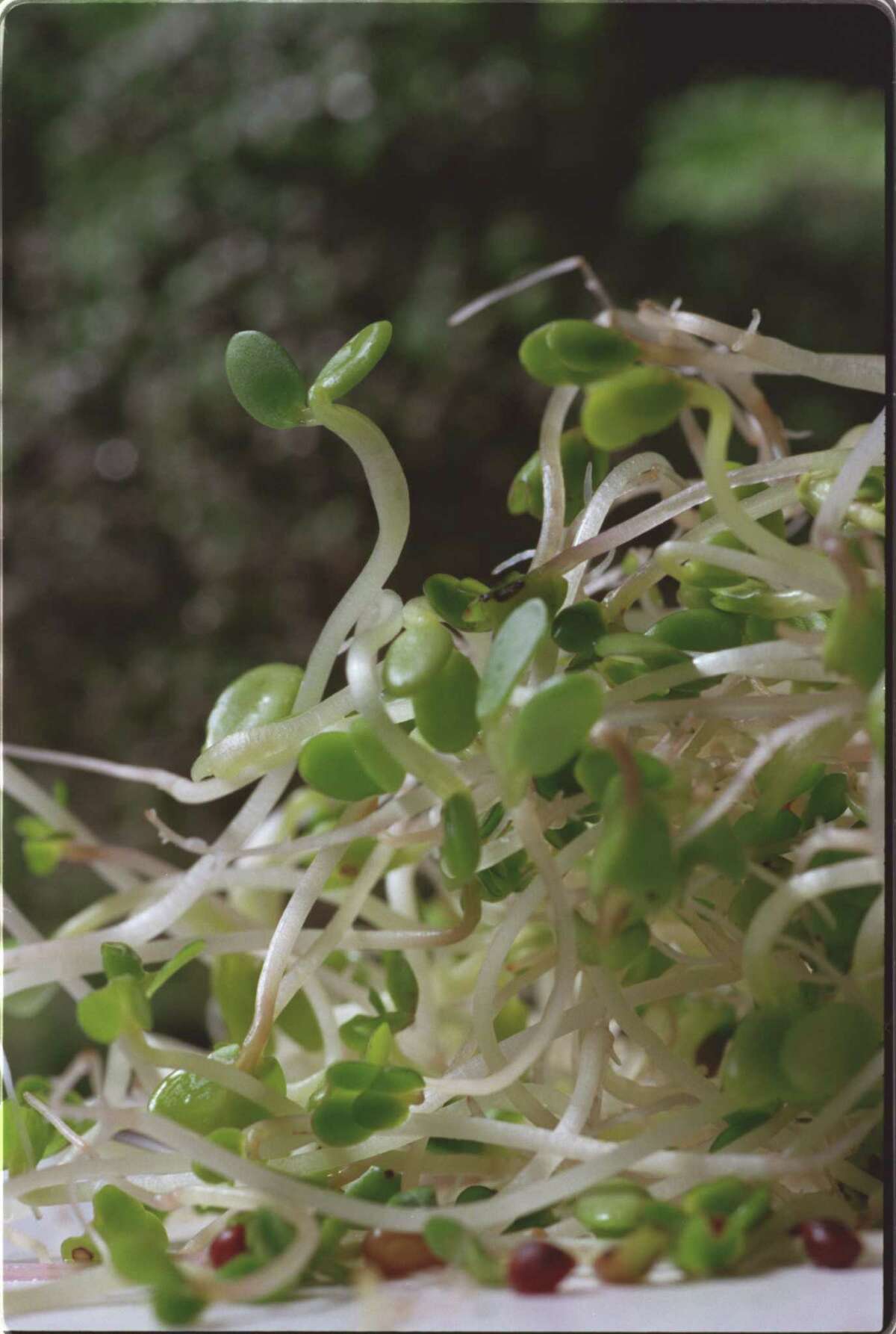 Don't be afraid to try new types of food