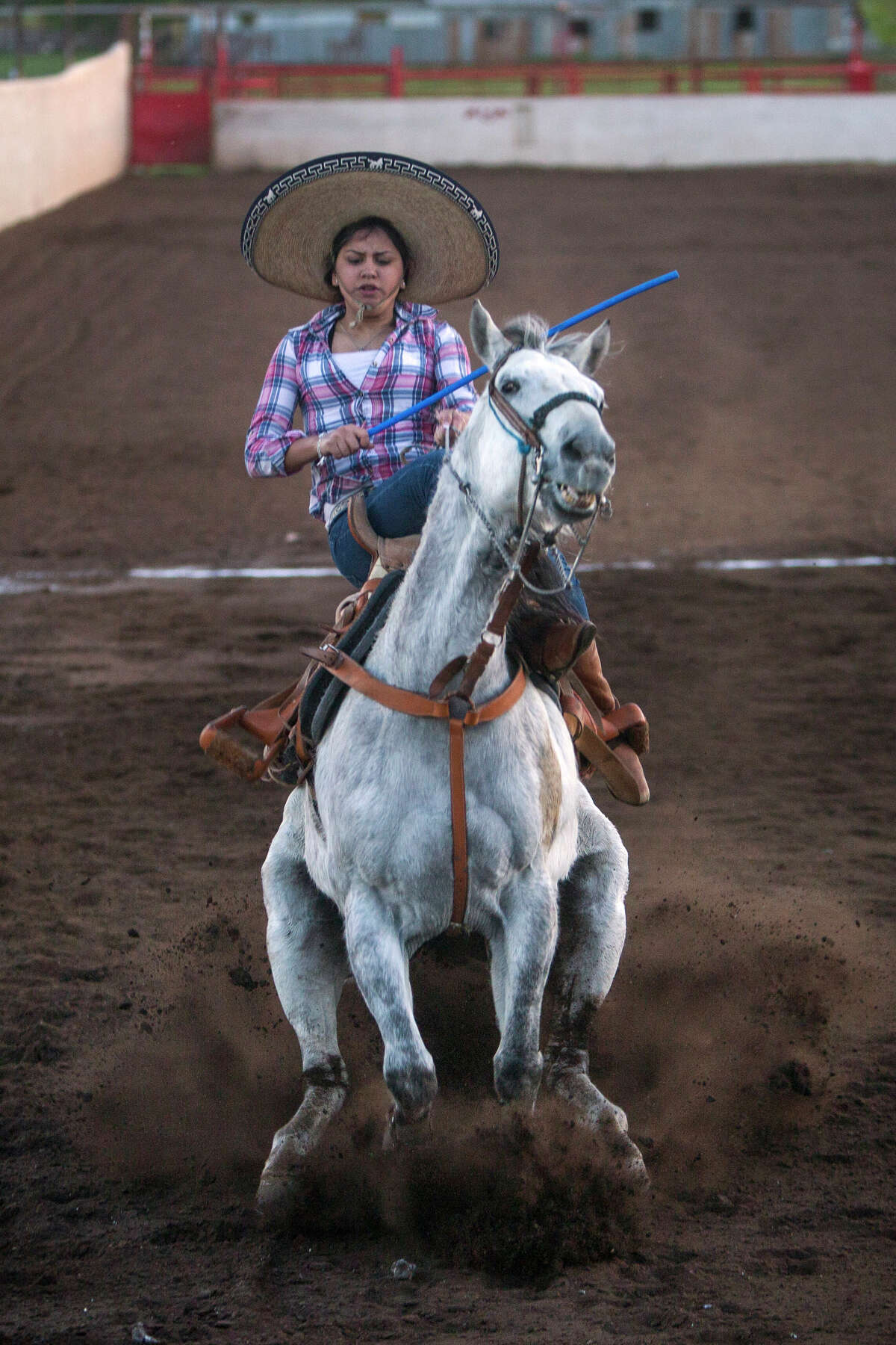Brenda Murillo performs a "punta," or slide stop, on her horse Cazador during practice at El Rancho Unico in Atascosa, Texas on March 26, 2015. For a punta, the rider must line the horse up without moving, then gallop at a high speed in a straight line, stop inside of the rectangle with one hand and salute. The horse's hooves cannot leave the ground more than three times during the slide and the slide must be a minimum of six meters before the horse stops. Escaramuza teams can receive up to 12 additional points for each of the two puntas performed. "Puntas can actually help you win a competition or catch up if you fall behind," Coach Jimmy Ayala said.