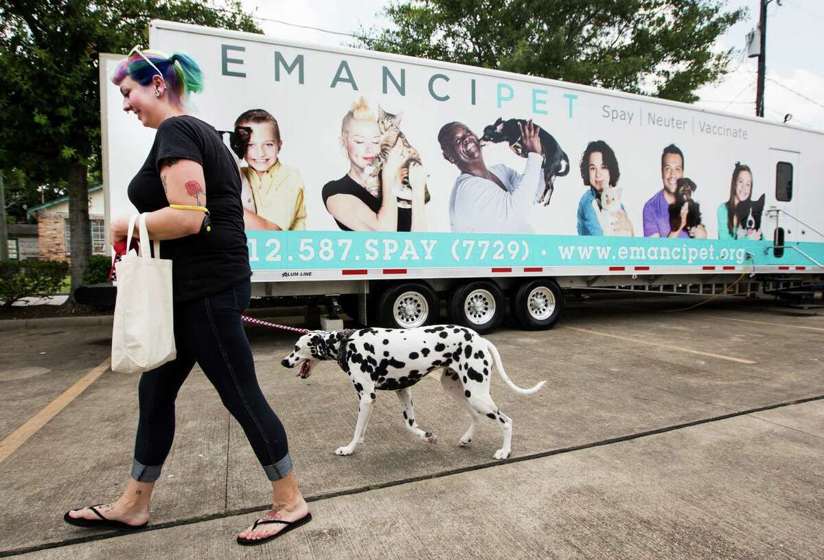 Natalie Freshour walks with her dog, Max, a Dalmatian rescue from Colorado, past the Emancipet trailer during the grand opening of Emancipet Houston on Saturday﻿. The mobile clinic ﻿offers low-cost spay/neuter and preventative veterinary services, including vaccinations, microchipping, and heart worm medications. ﻿