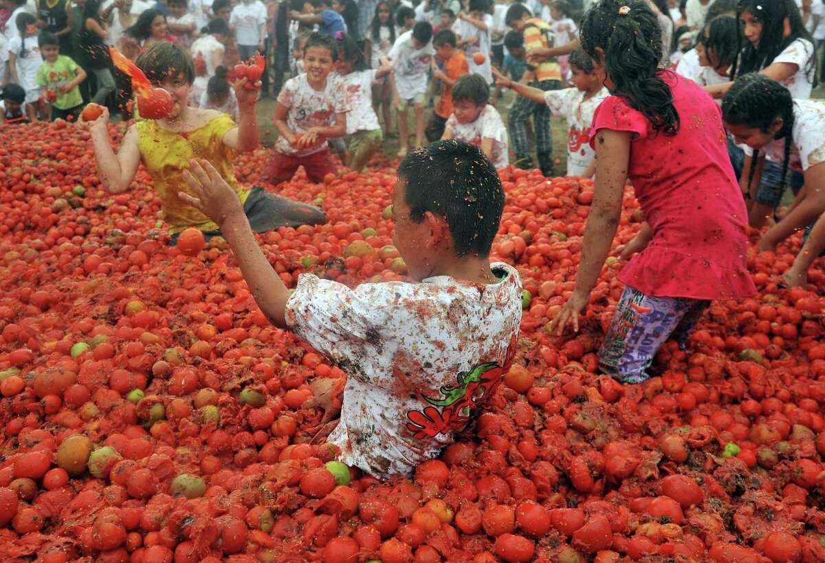 Праздник помидоров в Испании