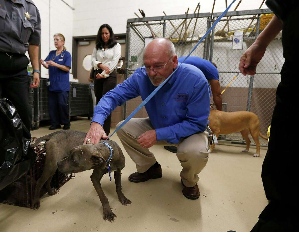 More people means more pets for county's animal shelter