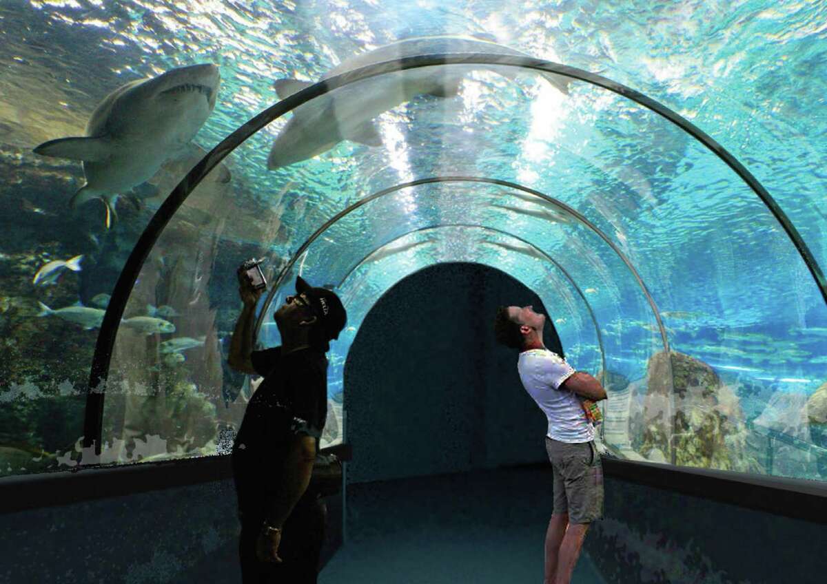 Rendering of a proposed aquarium planned for Rotterdam Square Mall. (Courtesy Via Properties)