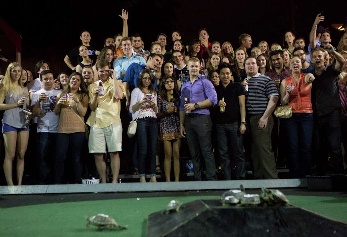 A throng of turtle racing spectators watch as the turtles start racing in the arena at Little Woodrow's, Thursday, May 21, 2015, in Houston. (Marie D. De Jesus/Houston Chronicle)