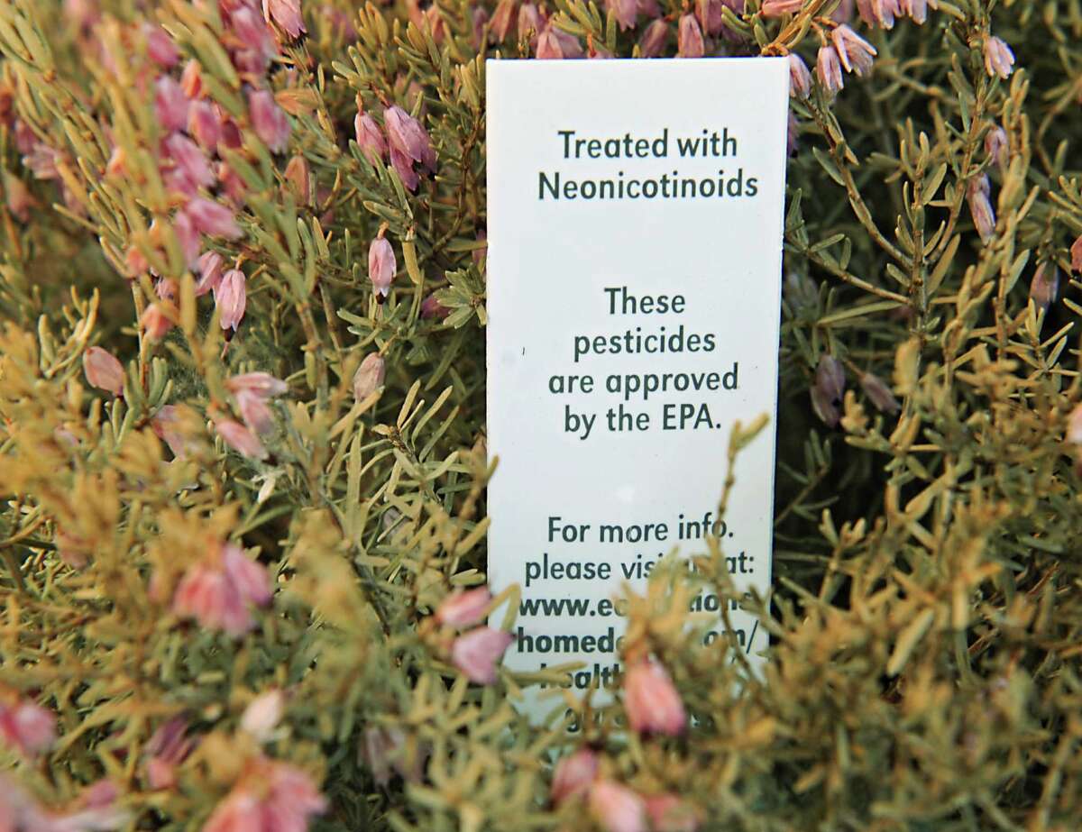 Guilderland beekeeper joins Cornell study into bee deaths