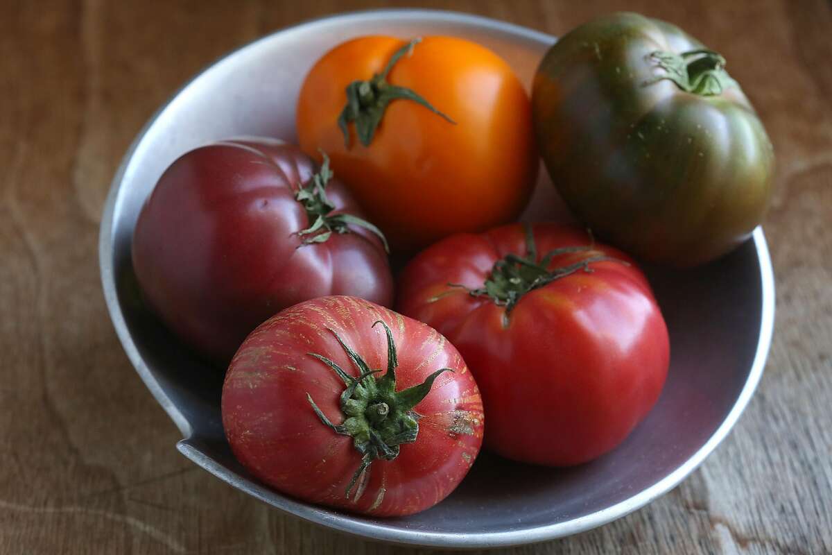 Bowl of tomatoes gathered by Molly Watson in San Francisco, California, on Friday, June 12, 2015.