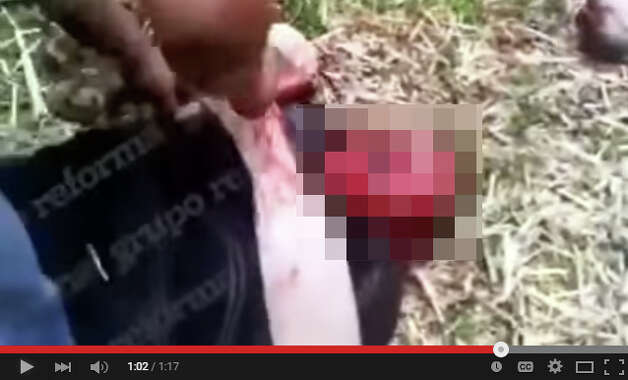 Graphic Video Appears To Show Mexican Drug Cartel Members Blowing Up.