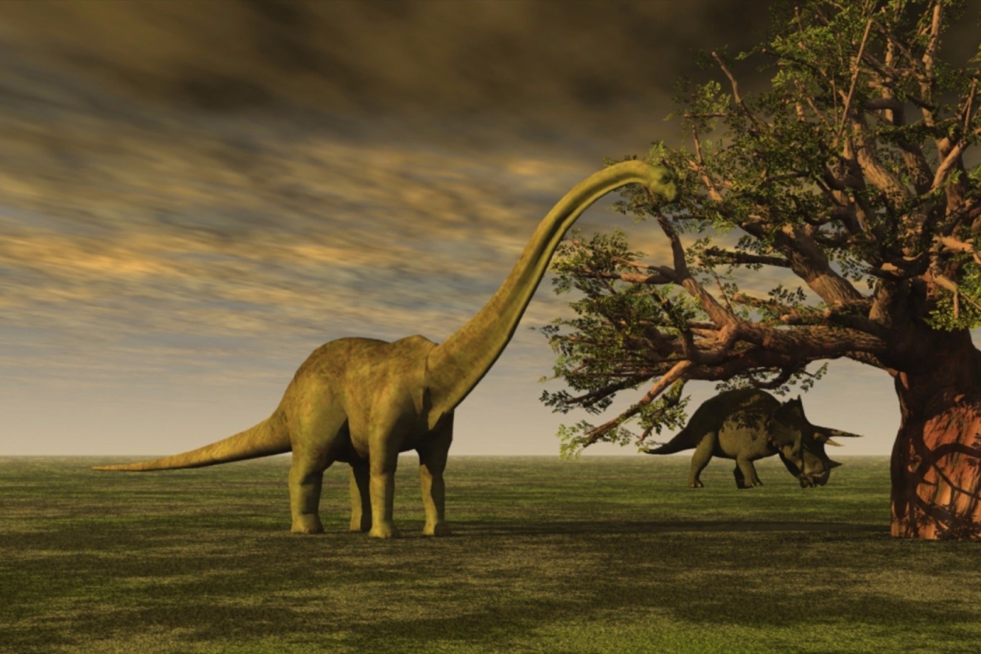 Living Sauropods? No Way, Science