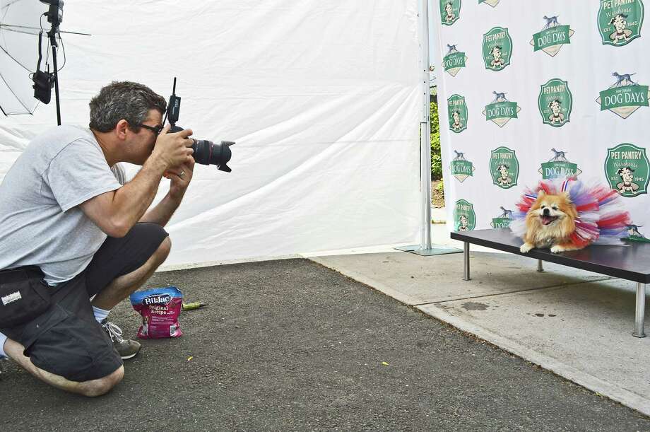 Love And Kisses At Dog Show New Canaan Advertiser