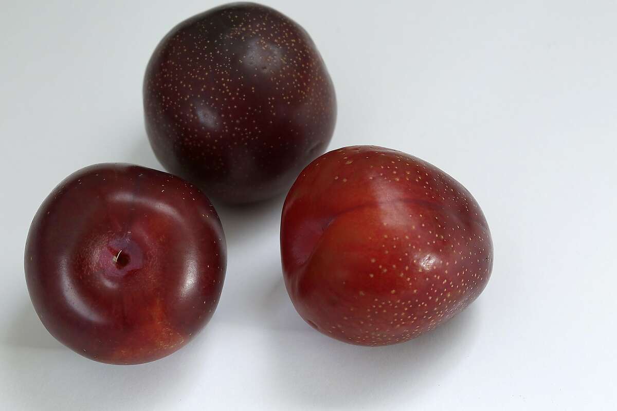 Plums for preserves grouped on Tuesday, June 16, 2015.