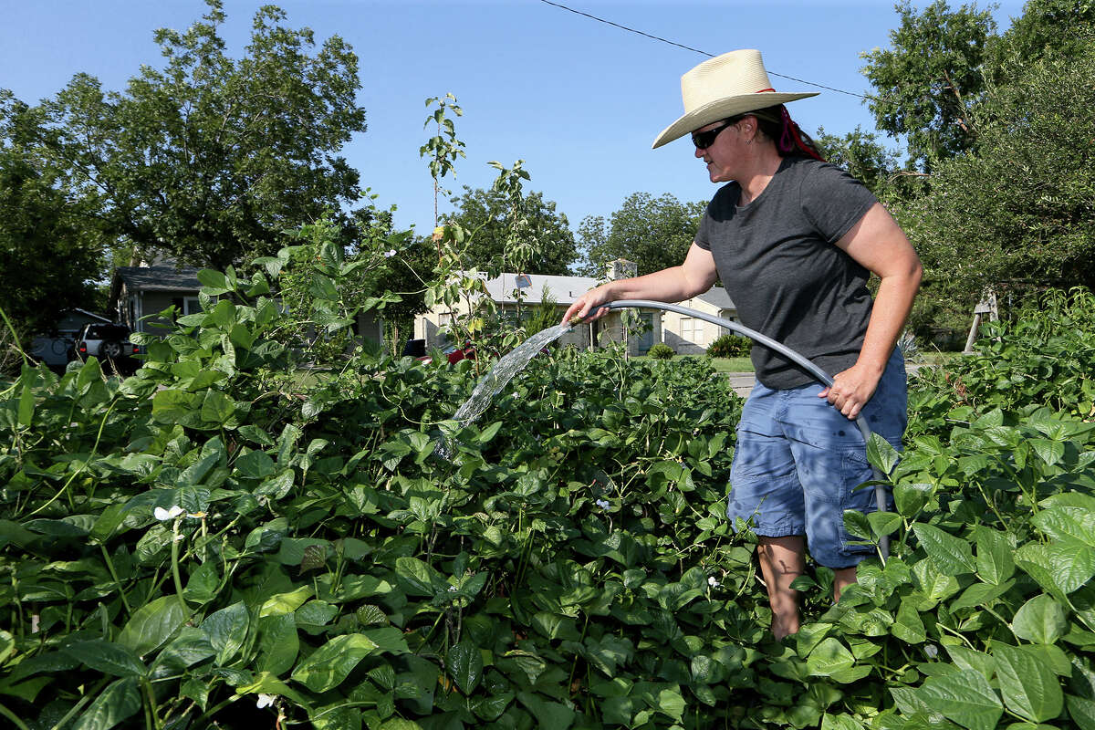 Vegetable growers nourish people, economy