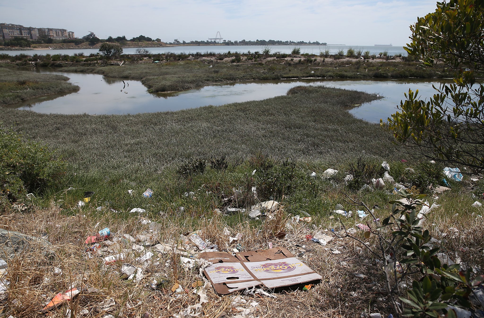 Beach water quality improved due to drought - SFGate2048 x 1346