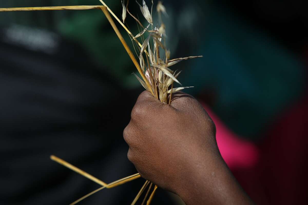 Marcello Stewart, a YMCA Bayview camper, holds a fistful of grass during an ecoblitz in the open space above Palou Phelps Mini-Park in San Francisco, California, on Tuesday, June 16, 2015. The open space is in jeopardy because a proposed development project would include an access road bisecting the public land. The eco-blitz, hosted by local environmentalists, aimed to highlight the biodiversity that would be threatened by development.