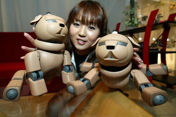 aibo dog for sale