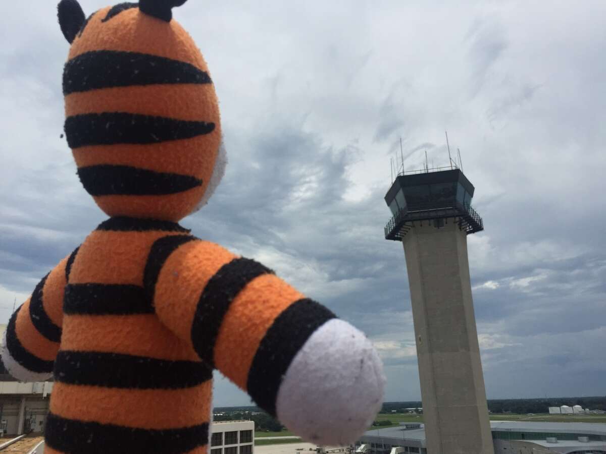 hobbes stuffed animal amazon