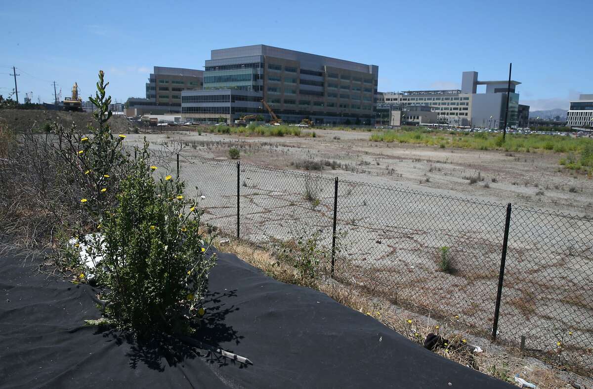 Weeds sprout through a tarp covering a mound of dirt on the Mission Bay site in San Francisco, Calif. on Thursday, June 18, 2015 where the Warriors hope to build a new basketball arena.