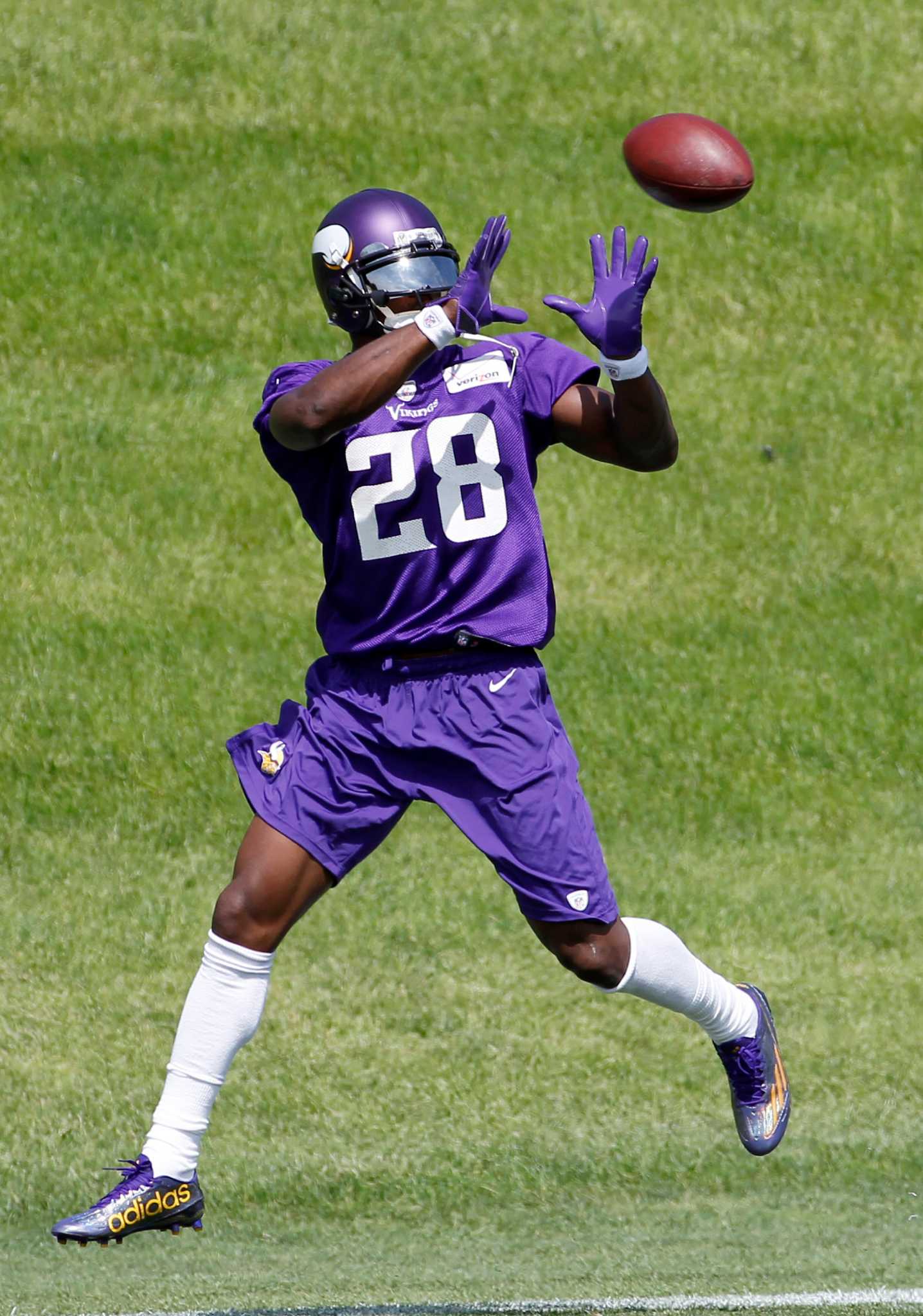 Minnesota Vikings: A Look at RB No. 28 Adrian Peterson