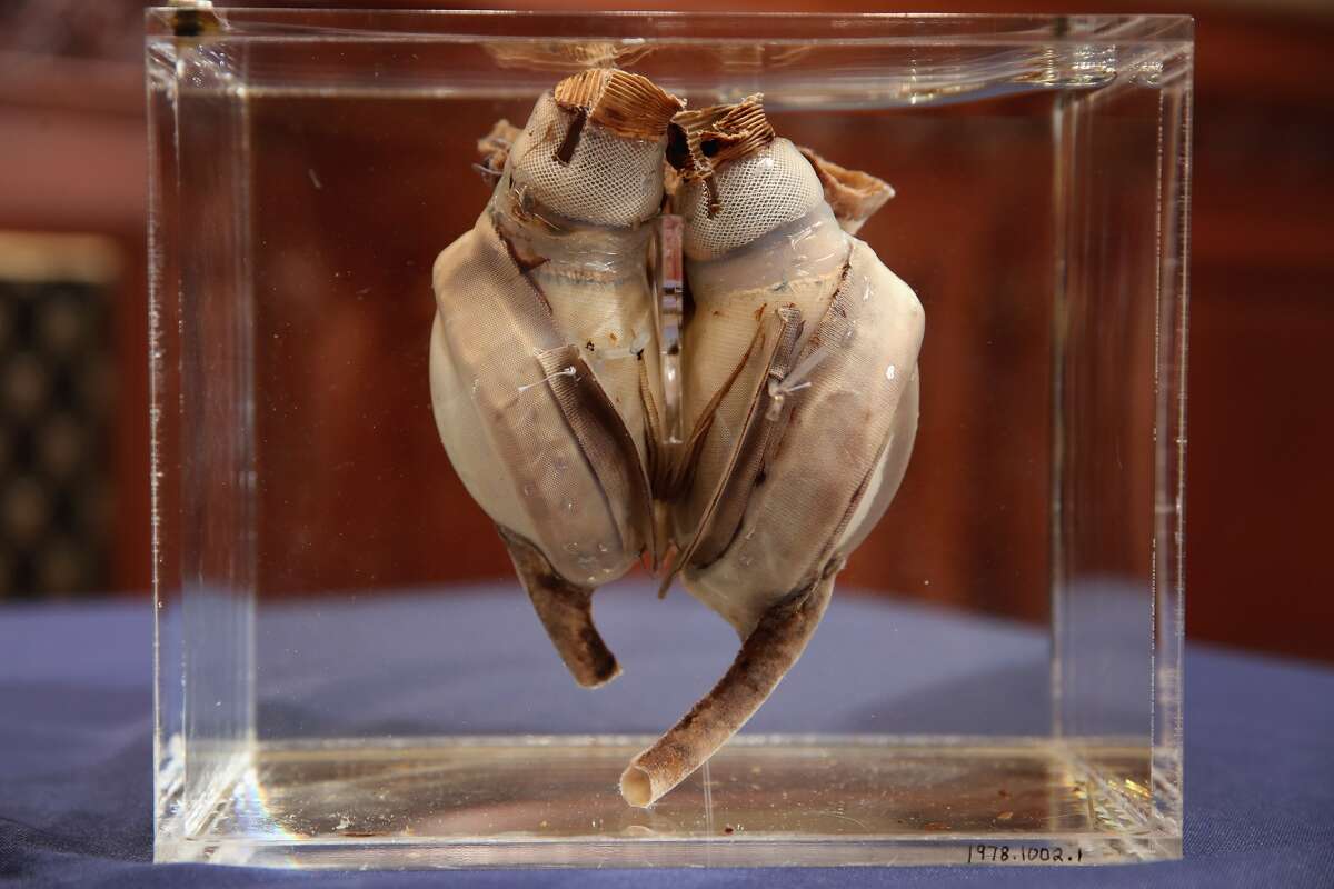 World S First Artificial Heart Displayed After Nearly 50 Years At   1200x0 