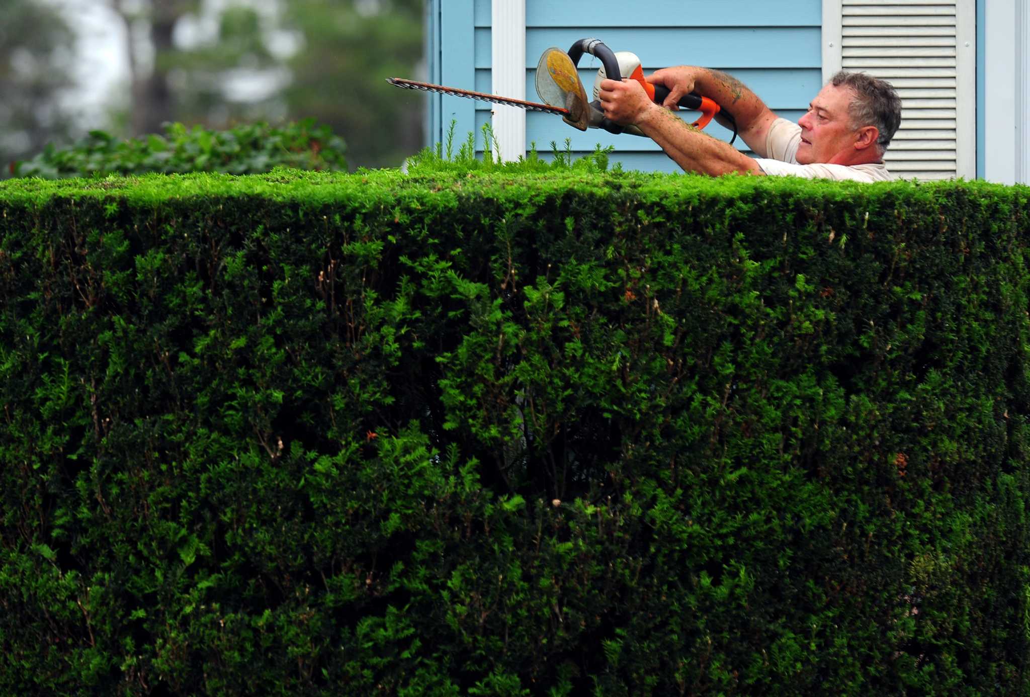 RE FAIRFIELD CO OH HEDGES visual data 8