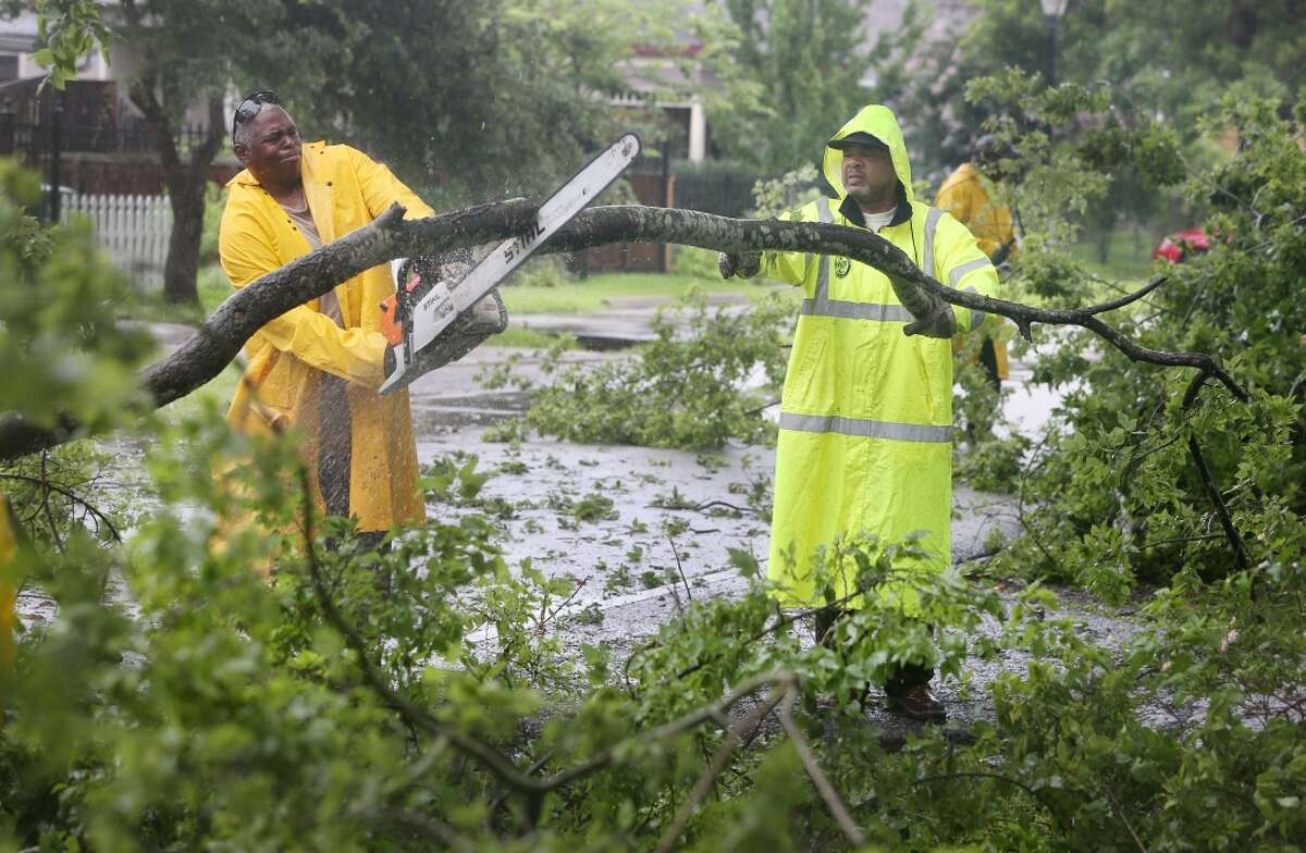 City of Houston Public Works crew Darren Laster and Dean Harris clear a fallen tree along Ashland at 11th Street on Wednesday, June 17, 2015, in Houston. The trailing edge of now Tropical Depression Bill continue to move through the Houston area. ( Mayra Beltran / Houston Chronicle )