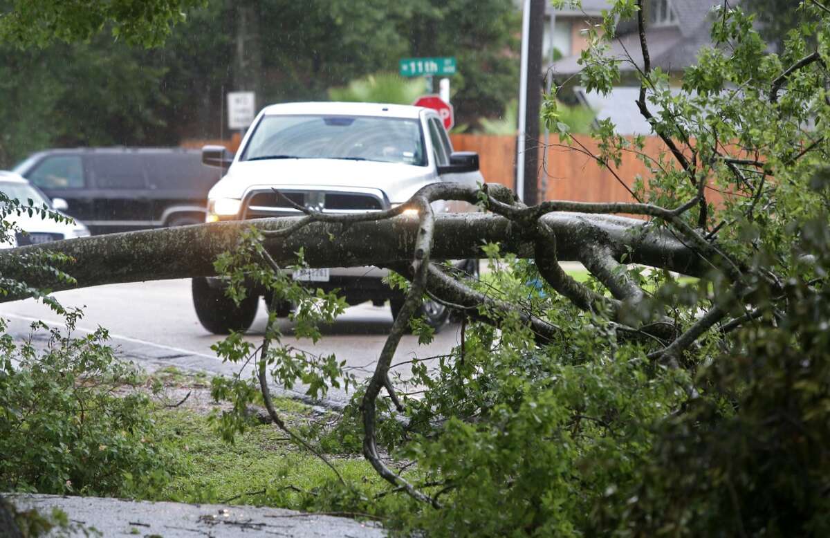 A fallen tree block Ashland at 11th Street forcing motorist to reroute on Wednesday, June 17, 2015, in Houston. The outer bands and trailing edge of nowTropical Depression Bill continue to move through the Houston area. ( Mayra Beltran / Houston Chronicle )